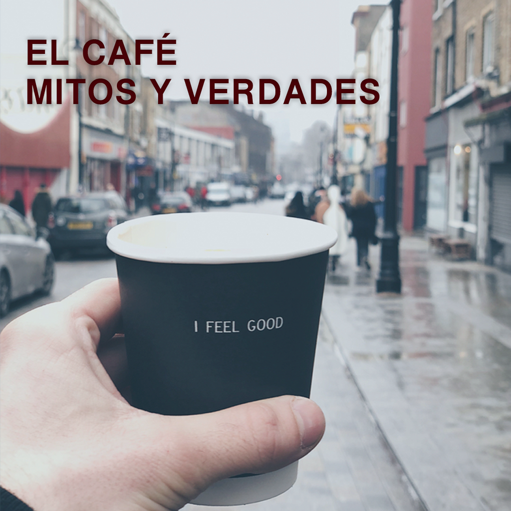 Café y Salud: Mitos y Realidades