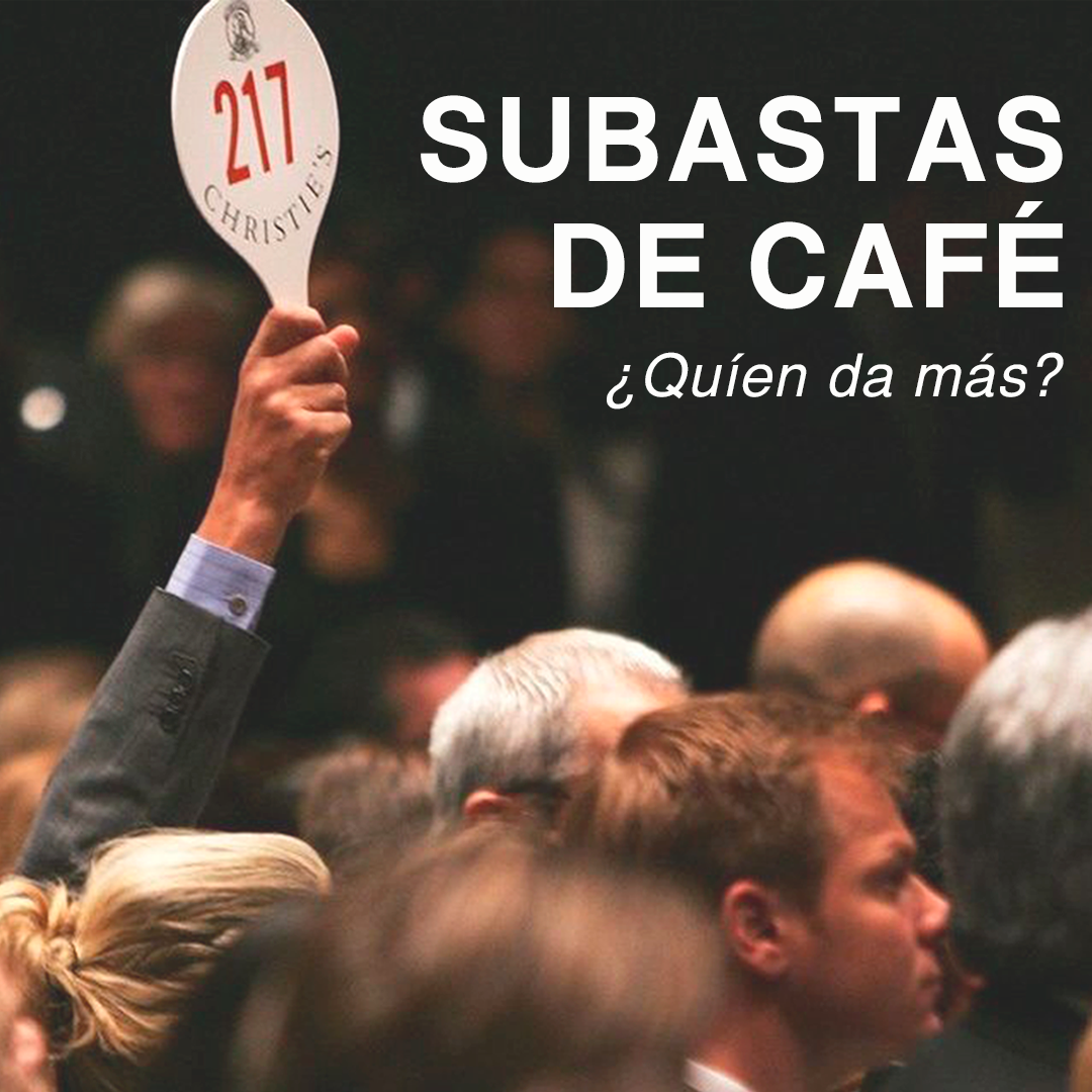 Subastas de Café de Especialidad: Una Oportunidad Única en el Sector del Specialty Coffee